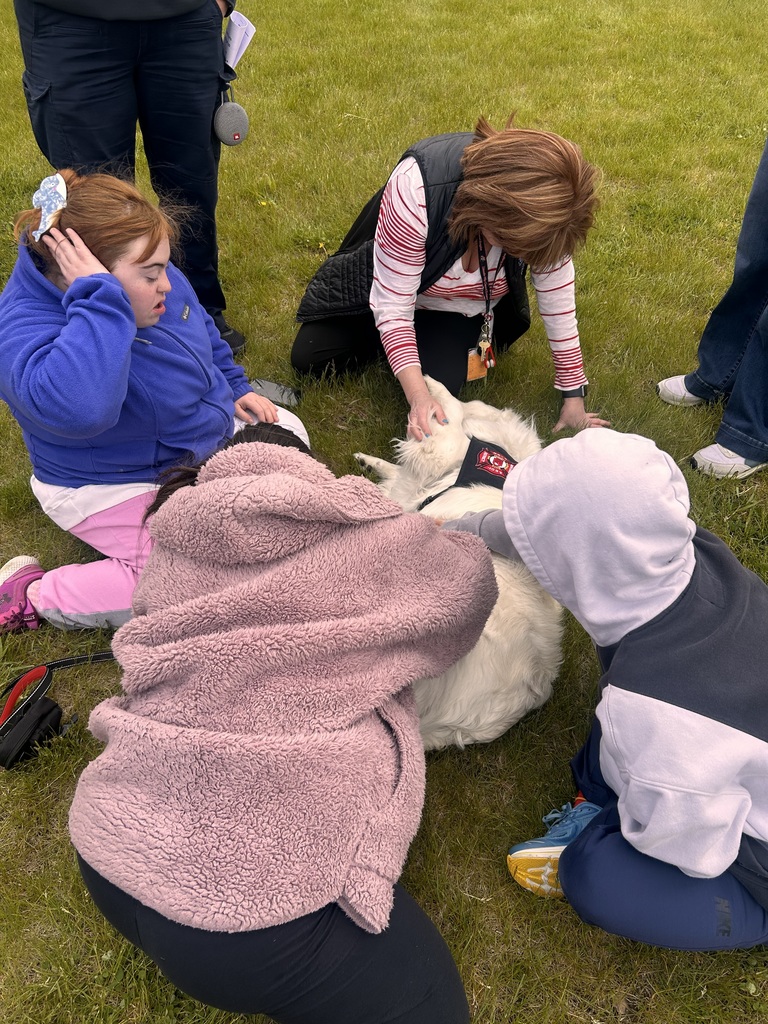 People crouch on a grassy field, interacting with a large white dog.