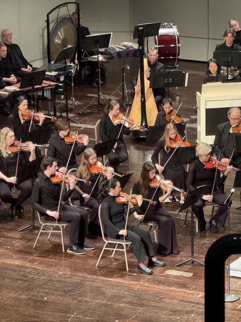 Musicians seated in rows, playing instruments such as violins and harps, with a drum and gong on stage.