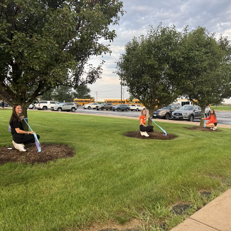 three students wrapping ribbons around trees