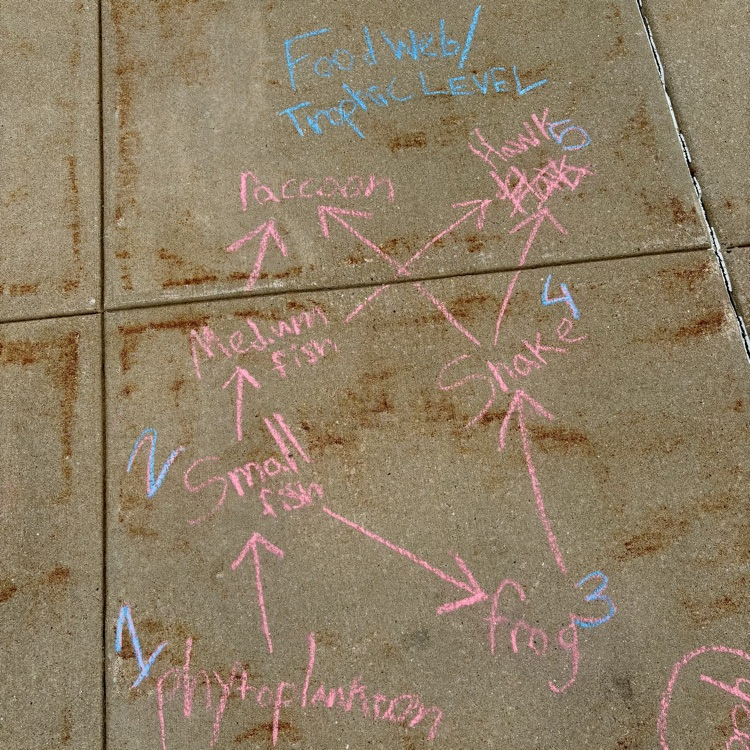 sidewalk chalk notes