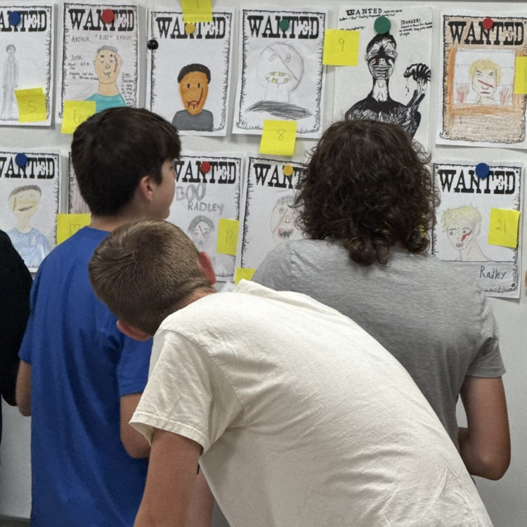 students looking at posters