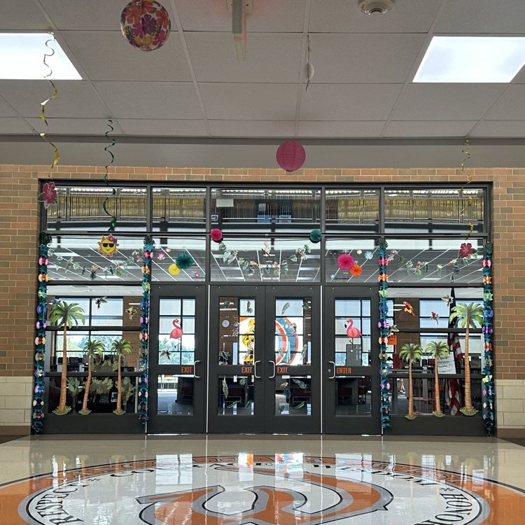 picture of library windows decorated with tropical decorations
