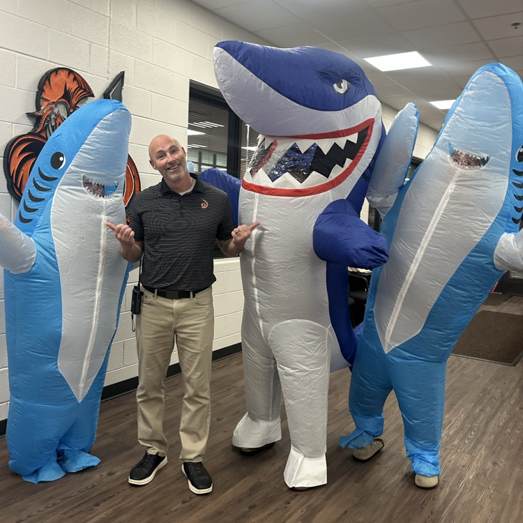 staff member with sharks