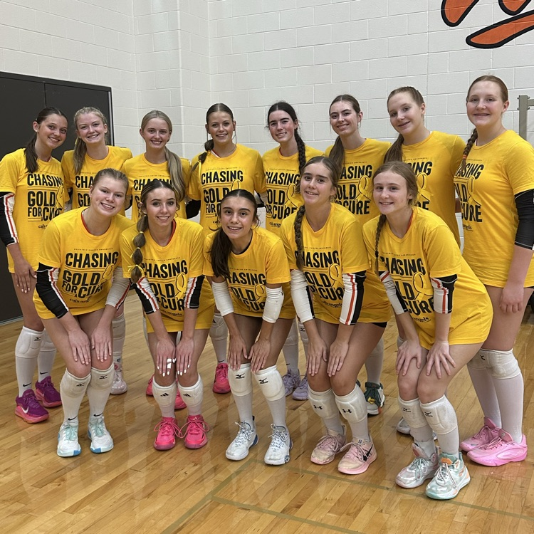 volleyball team