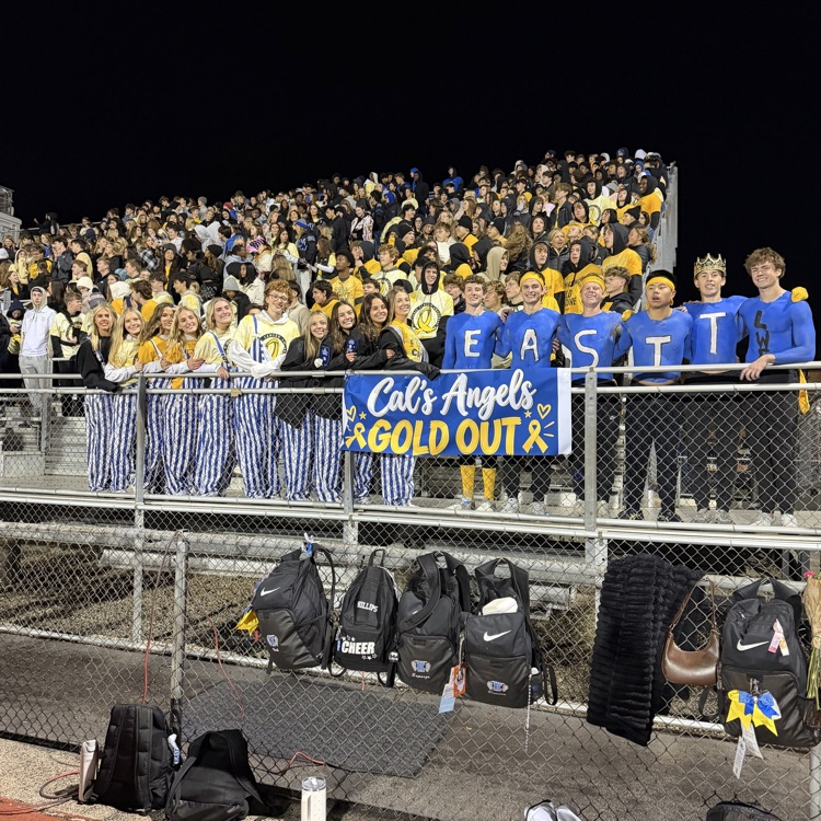 student section