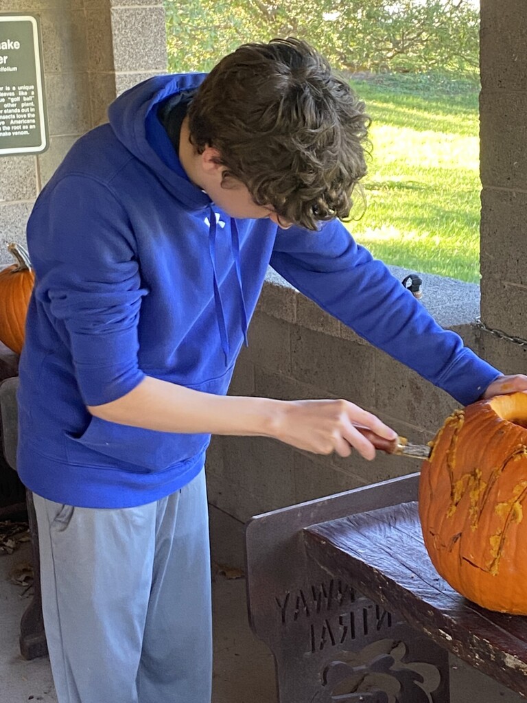Boy in blue hoodie carves pumpkin on table; grassy background with pumpkins and sign.