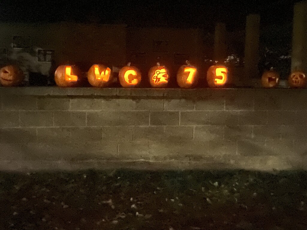 Six carved pumpkins with illuminated numbers LWC 7 5 on concrete wall with additional pumpkins behind.