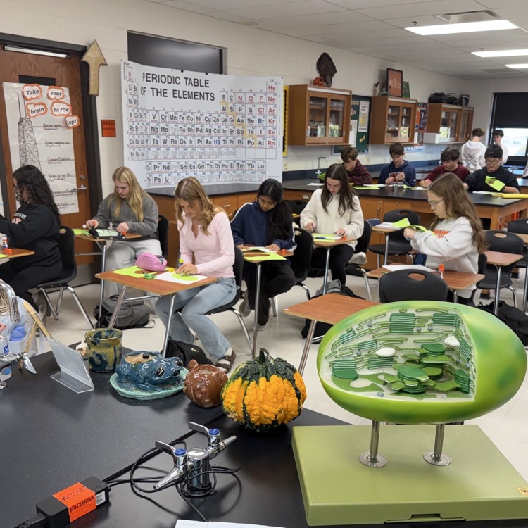 classroom of students