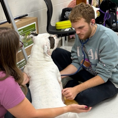student with dog in classroom