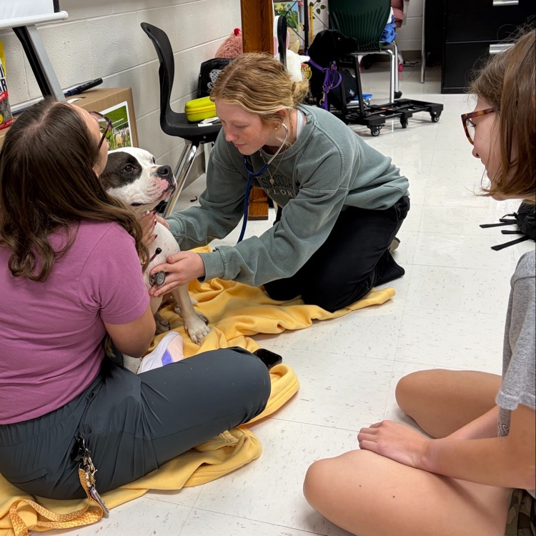 student and teacher working with dog in classroom