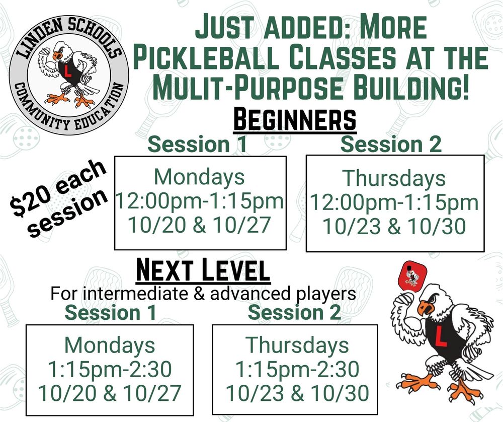 More Pickleball Classes
