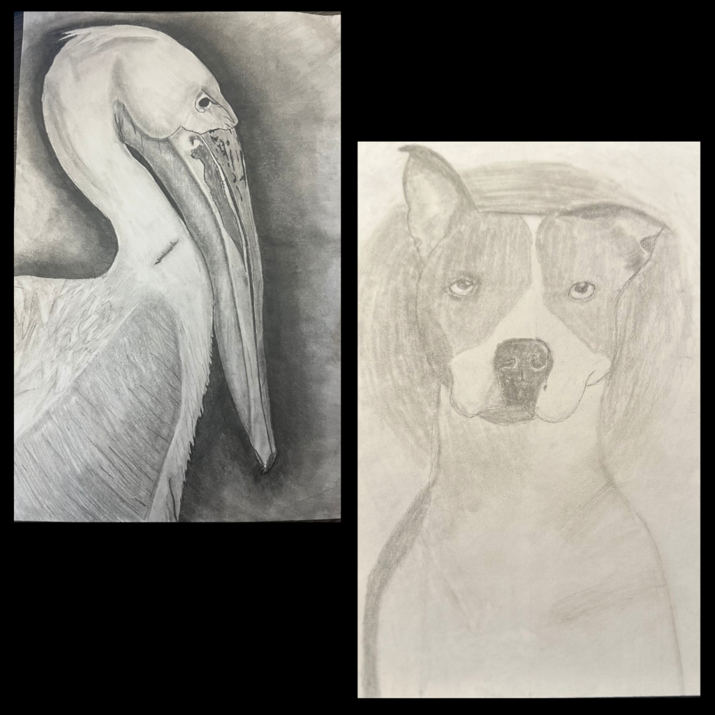 Animal Grid Drawings