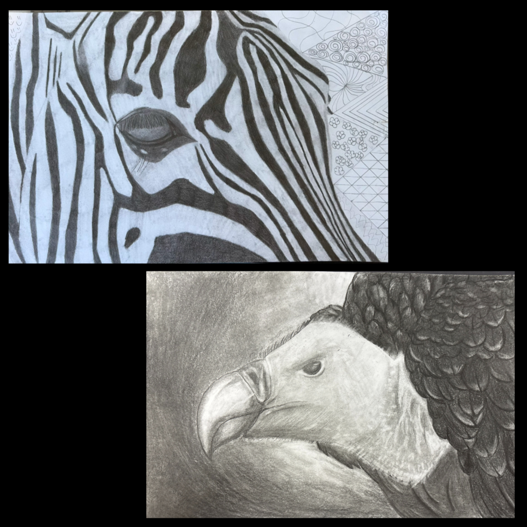 Animal Grid Drawings