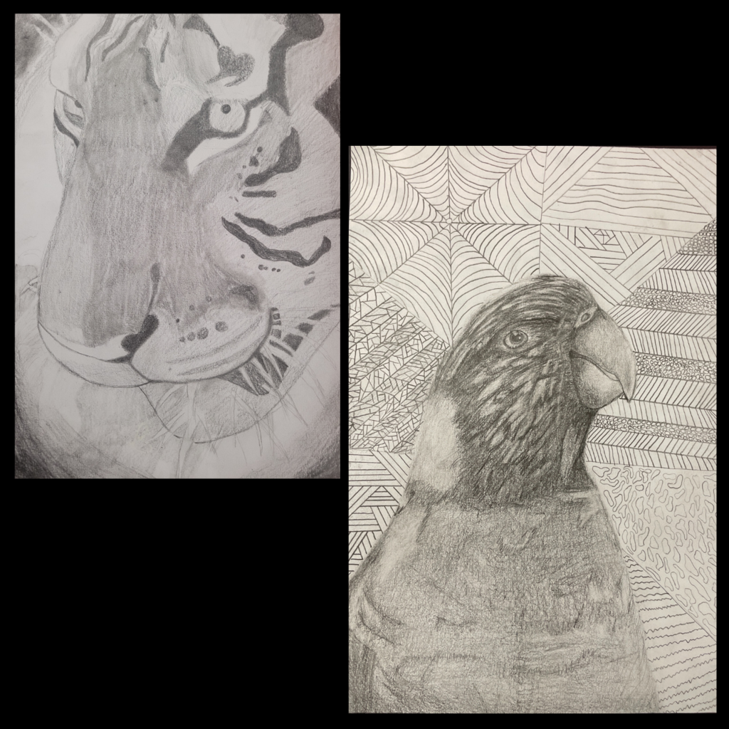 Animal Grid Drawings