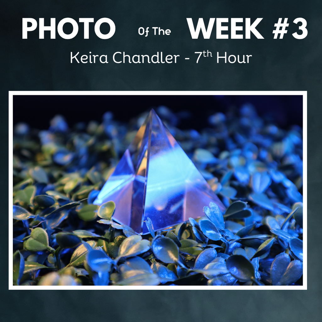 purple prism on ivy photo of week keira chandler
