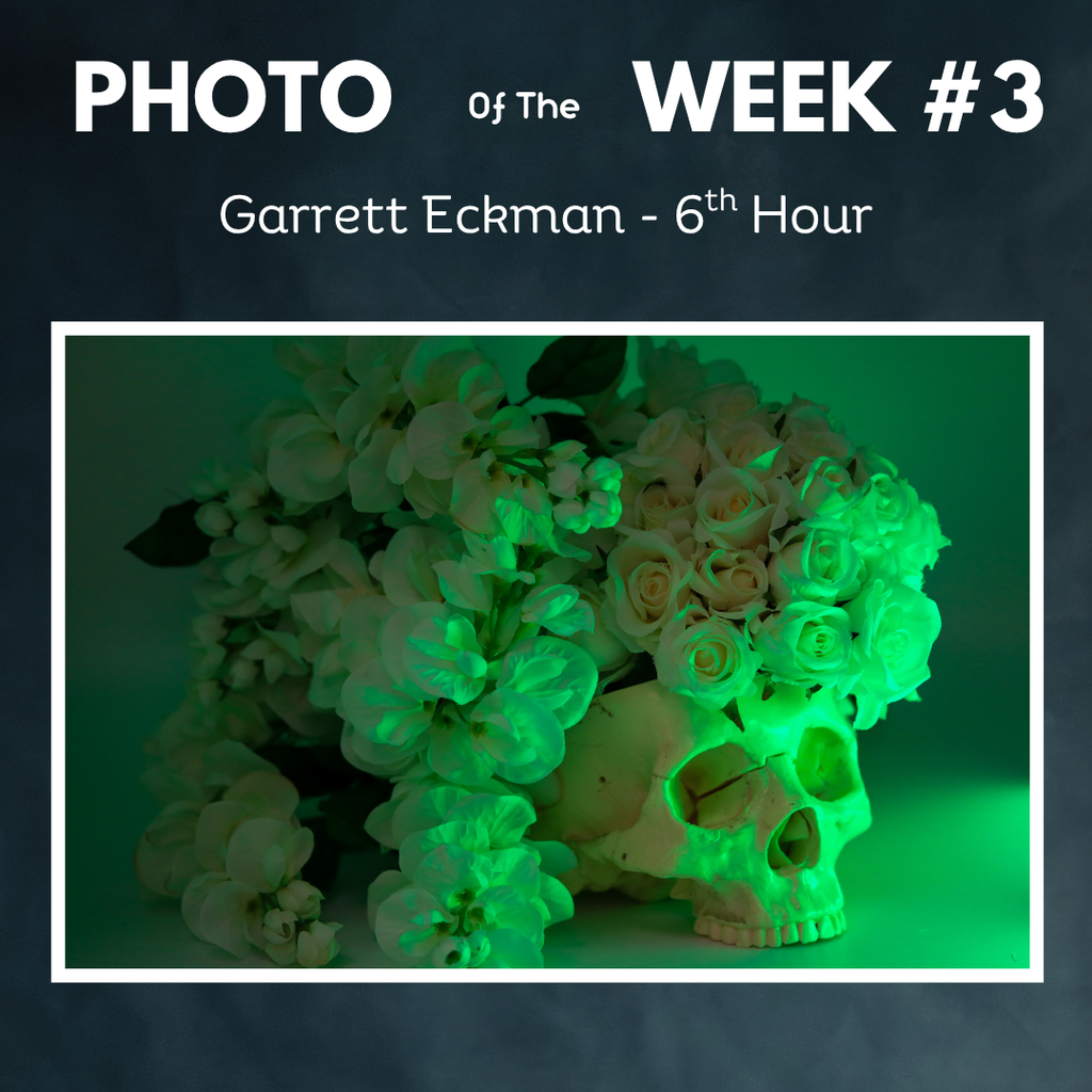 flowers and skull tinted green photo of week garrett eckman