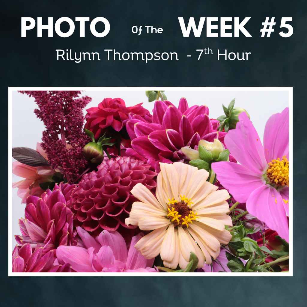 Flowers photo of the week R Thompson