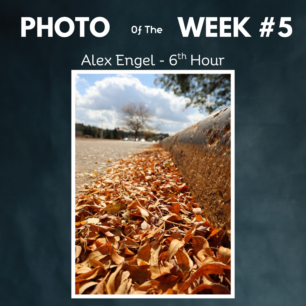 photo of the week a engel2