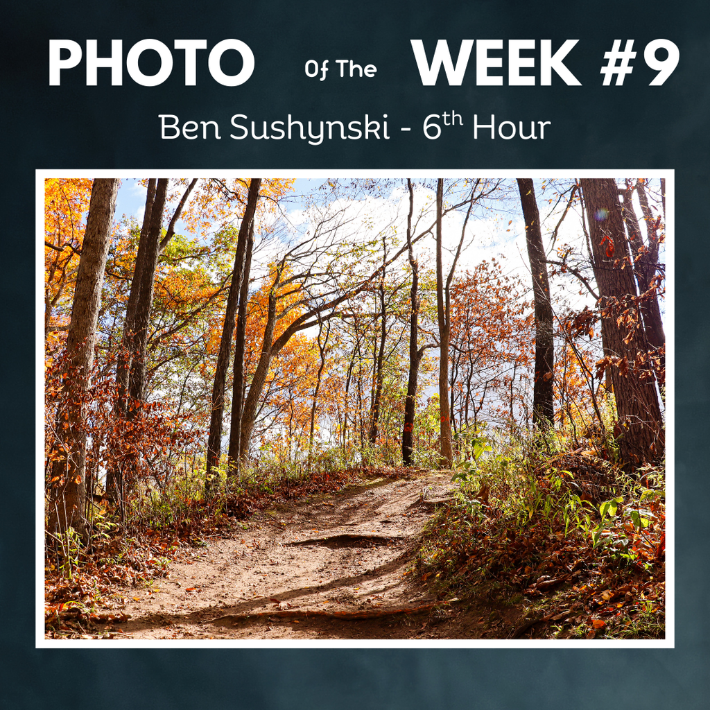 photo of the week trail in woods fall. ben