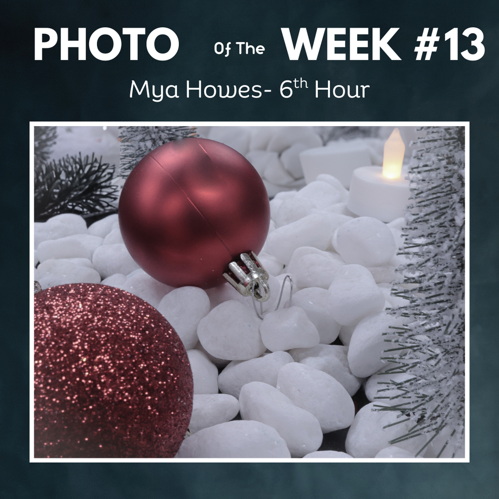 Christmas scene mya howes photo of the week 13