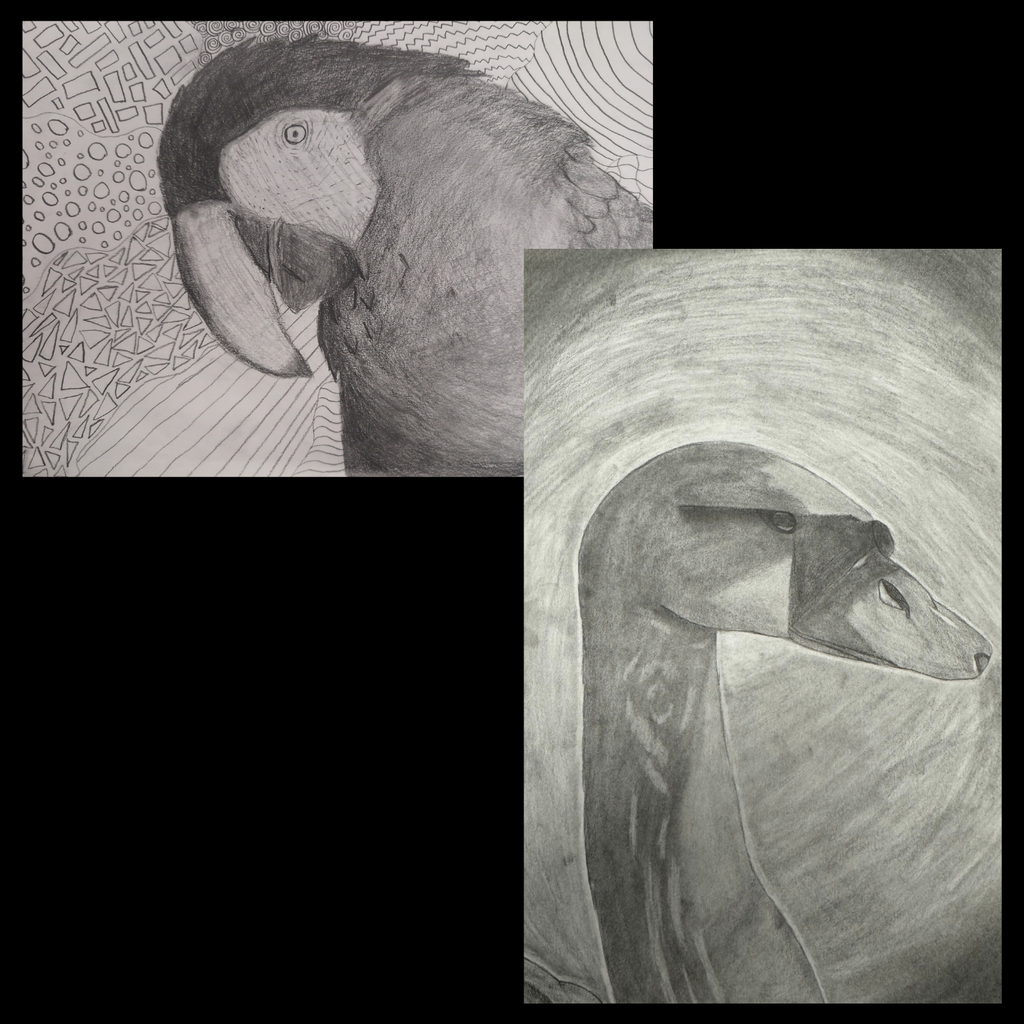 Animal Grid Drawings