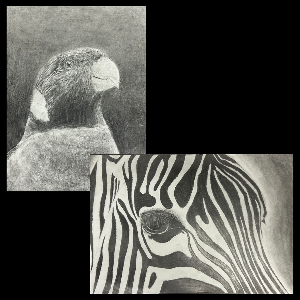 Animal Grid Drawings