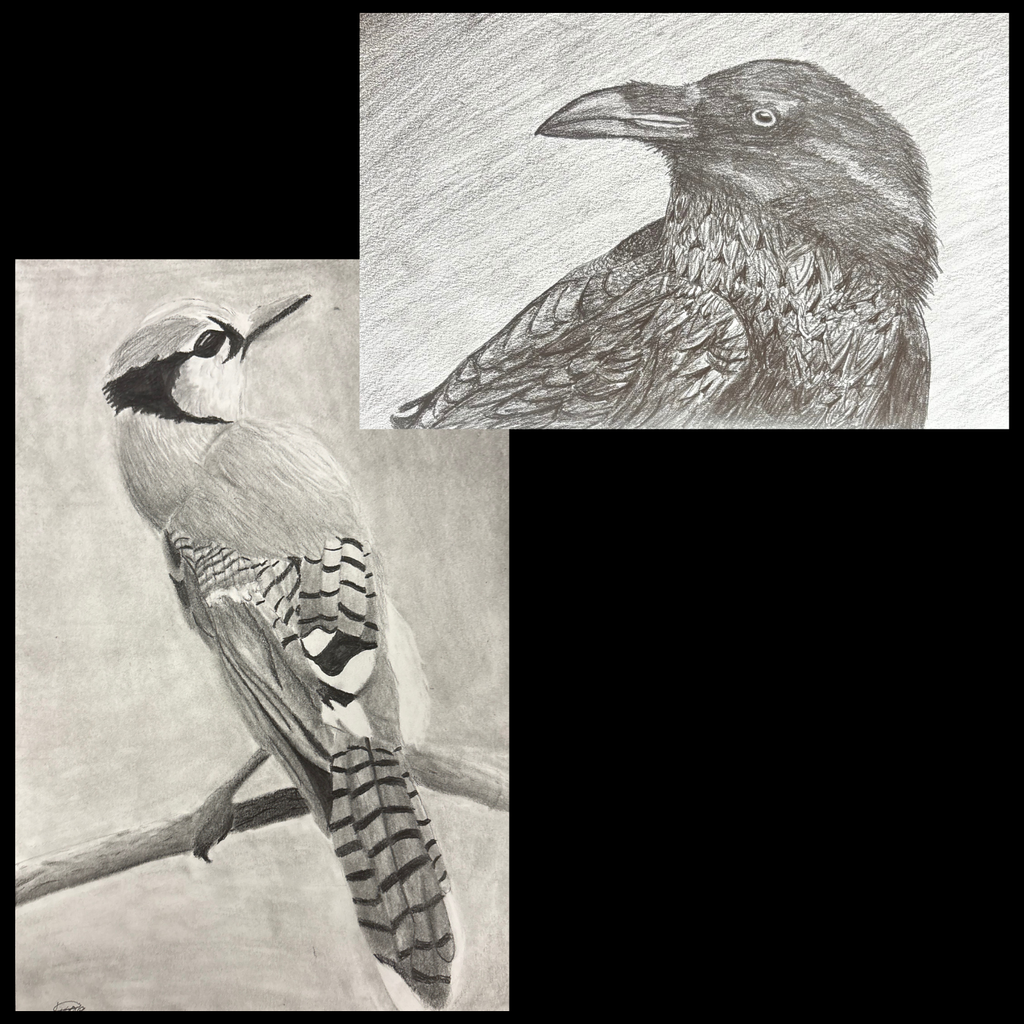 Animal Grid Drawings