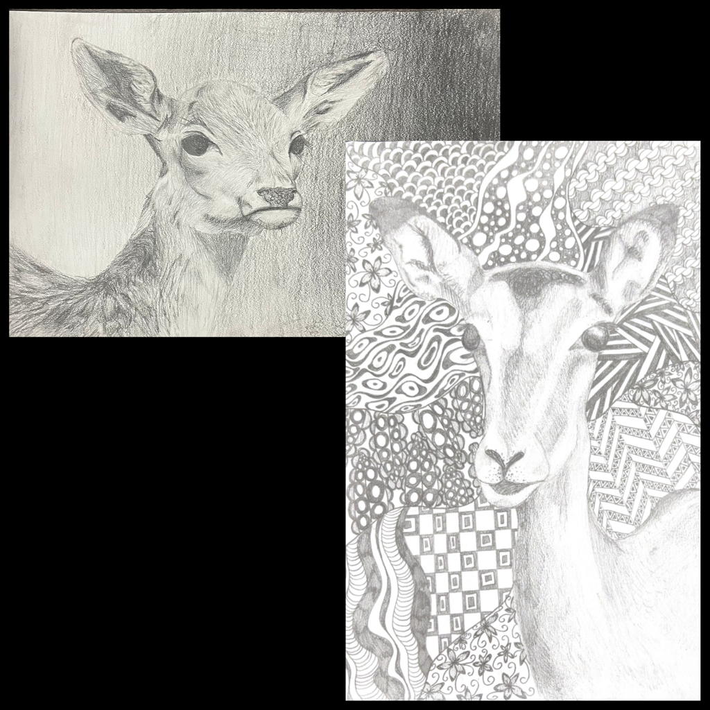 Animal Grid Drawings