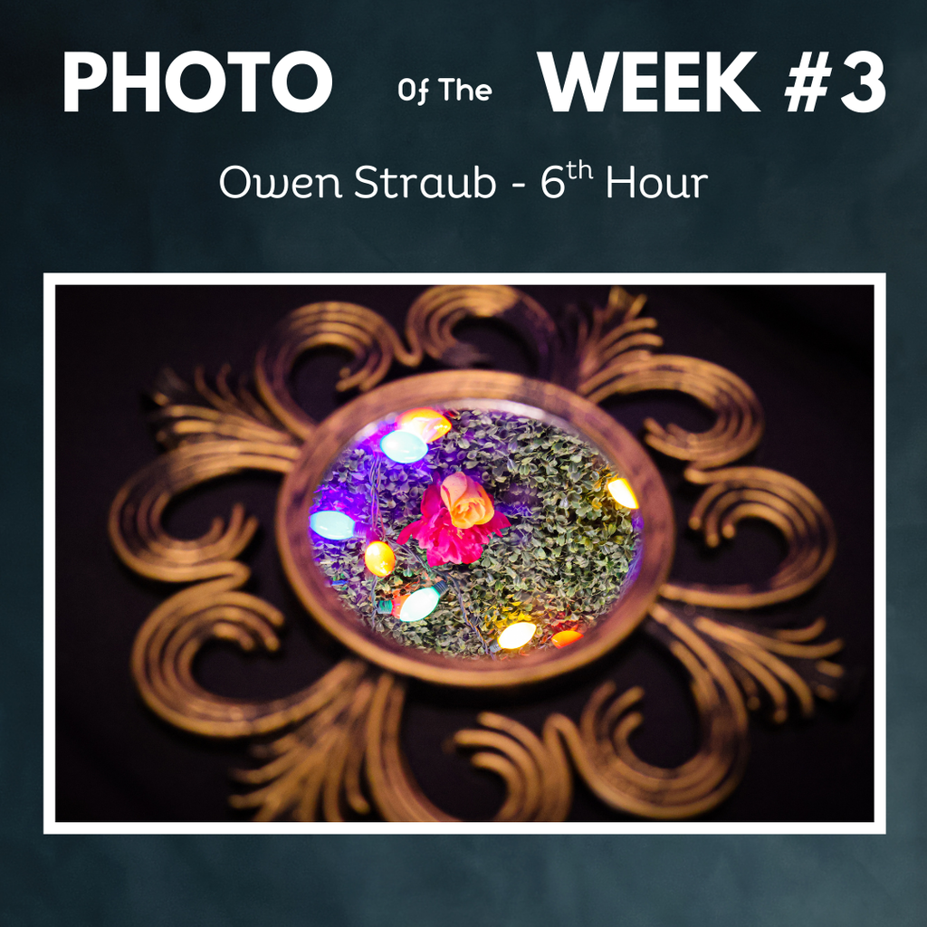 Photo of the week, mirror with flowers and lights, owen straub