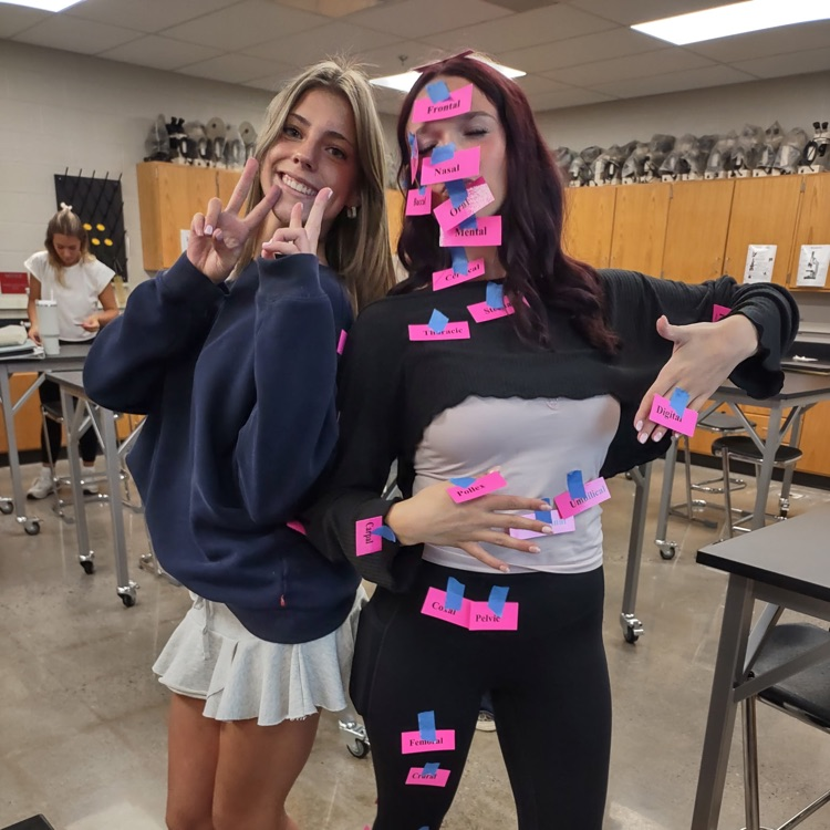 students tape names of body parts to their anatomy 1