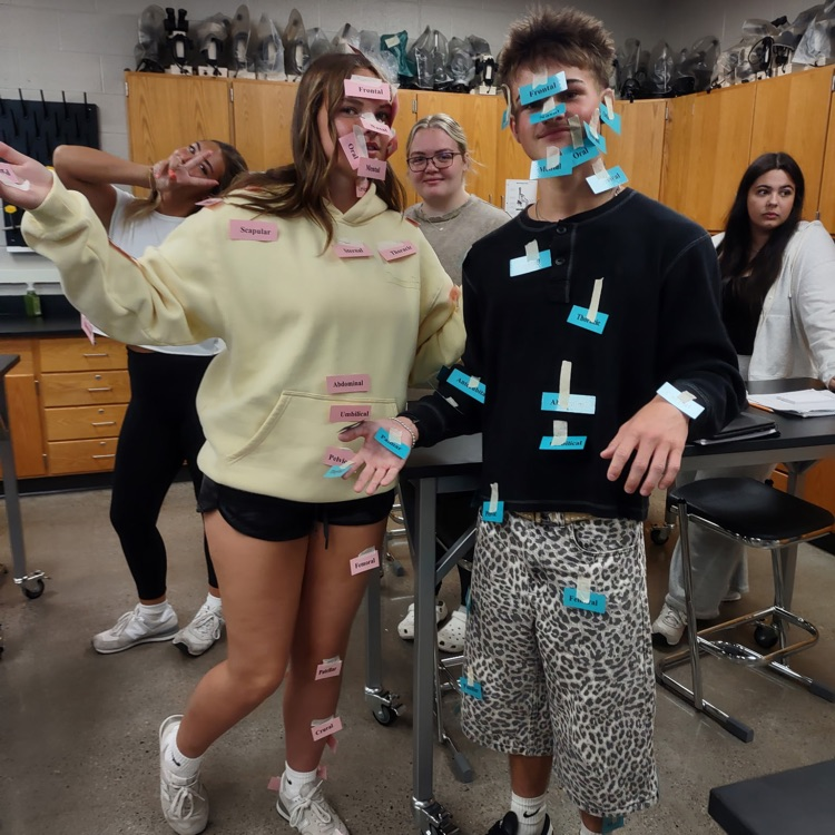 students tape names to their anatomy picture two
