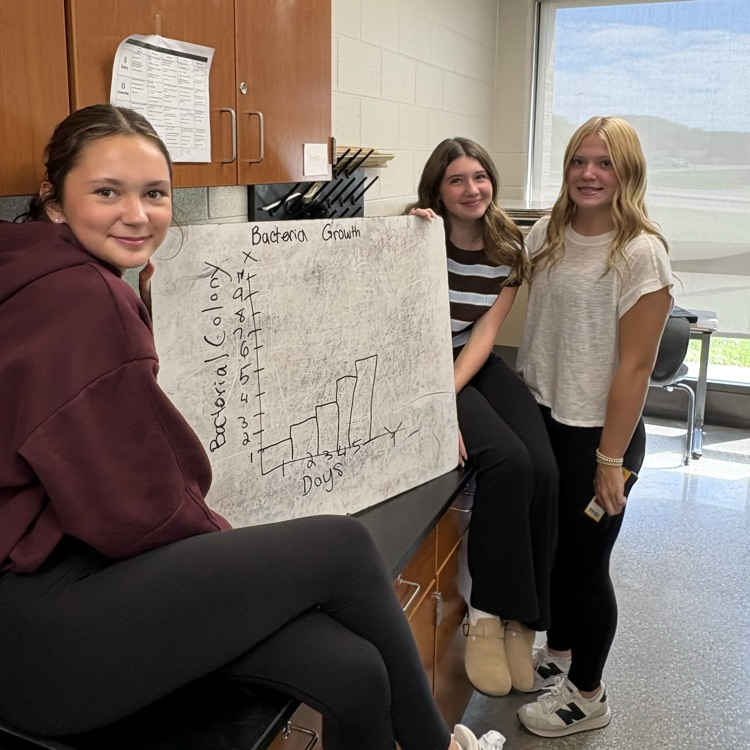 students showing their graphs
