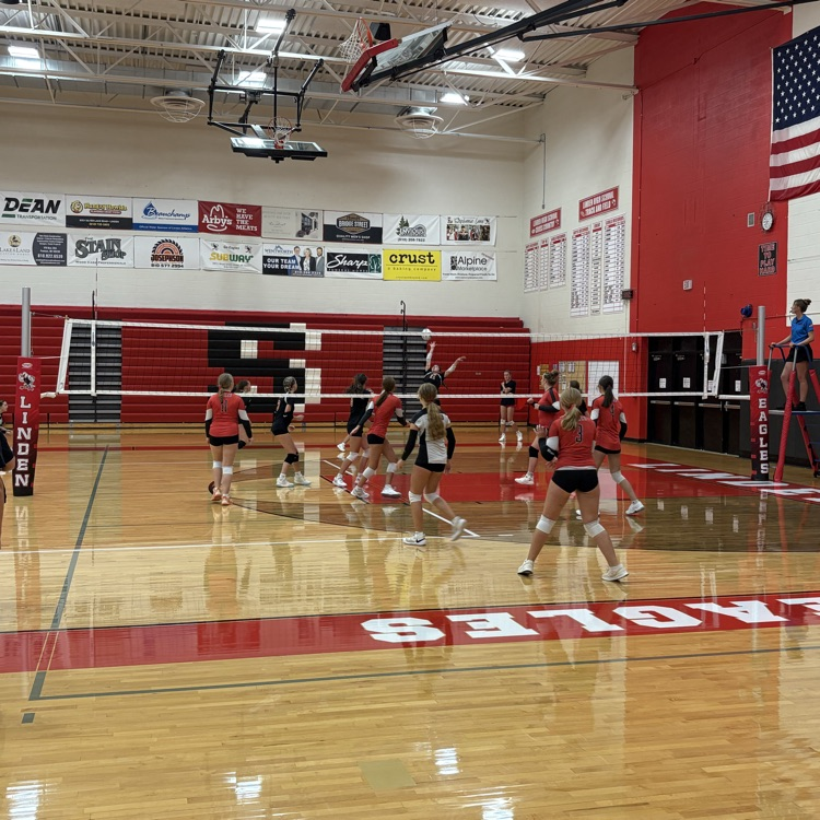 girls playing volleyball