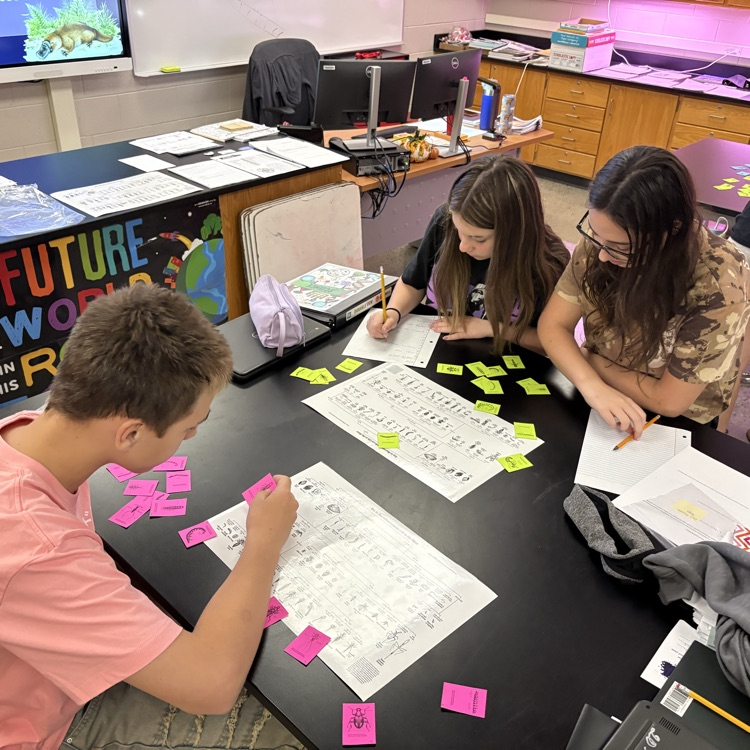 kids working on identifying animals in teams