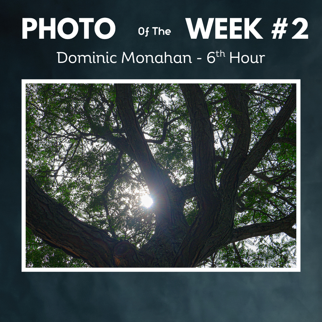 Graphic labeled "PHOTO of the WEEK #2" by student Dominic Monahan (6th Hour), showcasing a photograph of bright sunlight streaming through lush green tree branches.