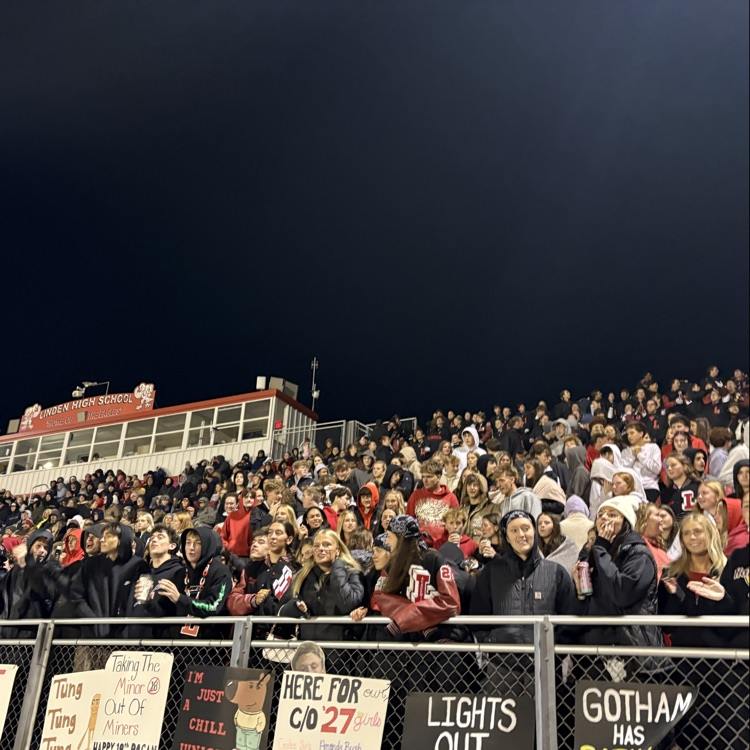 student section cheering at game