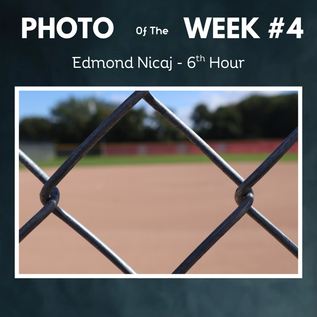 photo of week 4 close up of fence with field in background