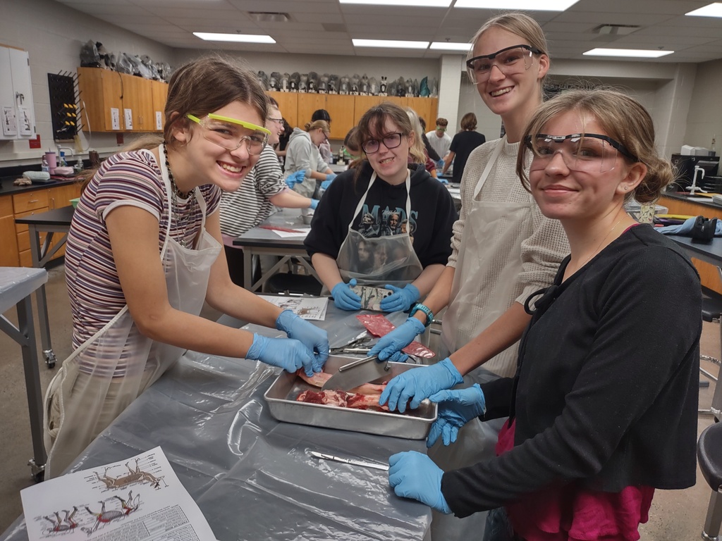 4 students in anatomy class dissecting deer bone