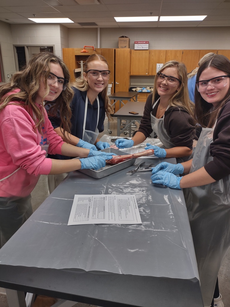 4 students show their bone dissection
