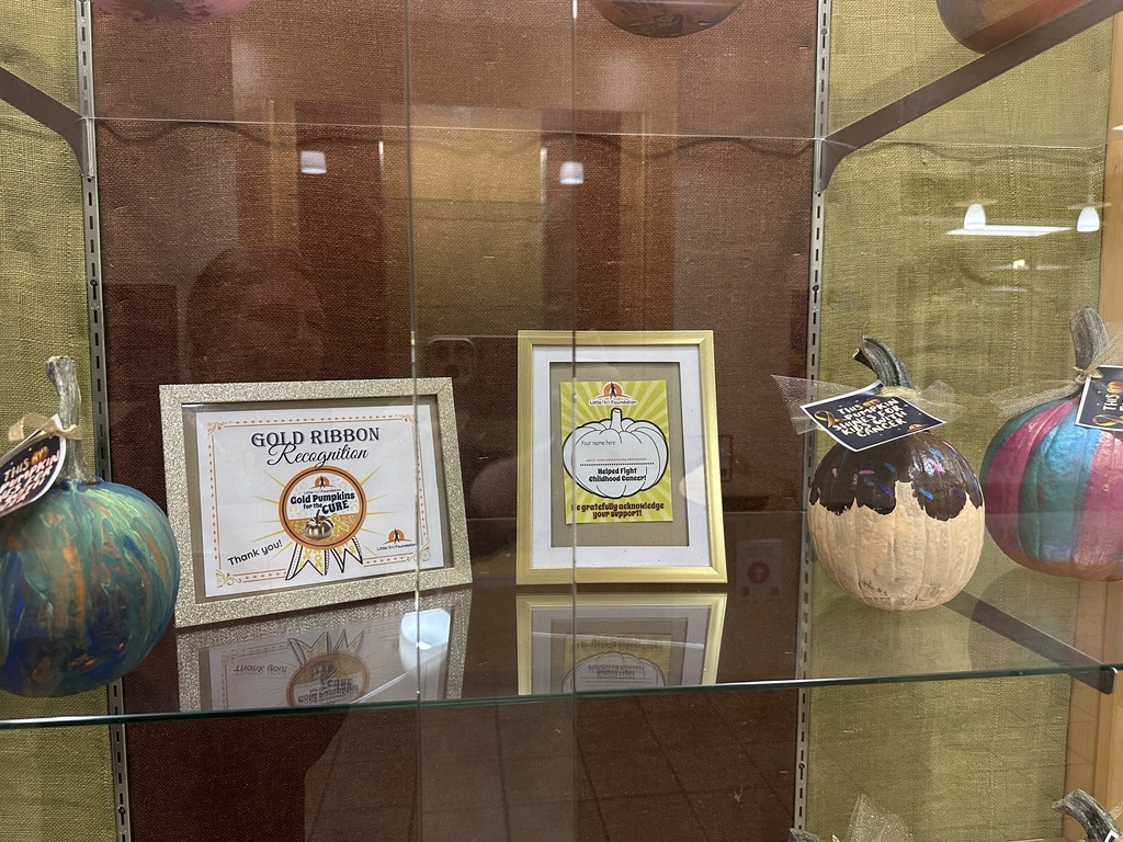 framed certificates next to painted pumpkins in the display case