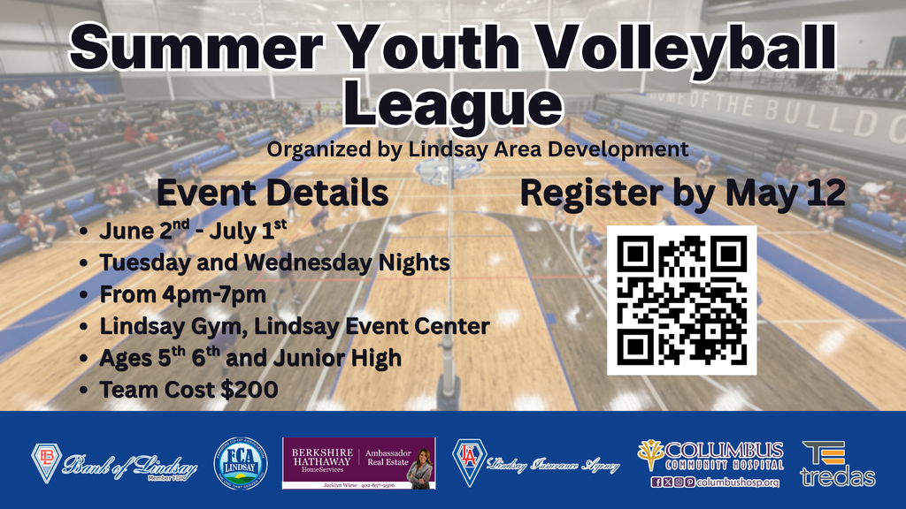 Summer Youth Volleyball Flyer