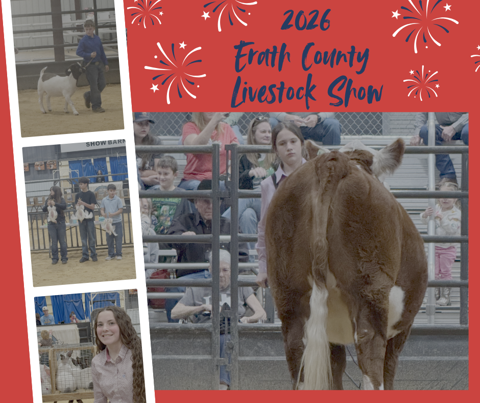 Ally Grimm with her Beef Heifer, Amelia Finney with her Rabbits, Mackenzie Whitefield with her chickens, Cody Bright with his Goat