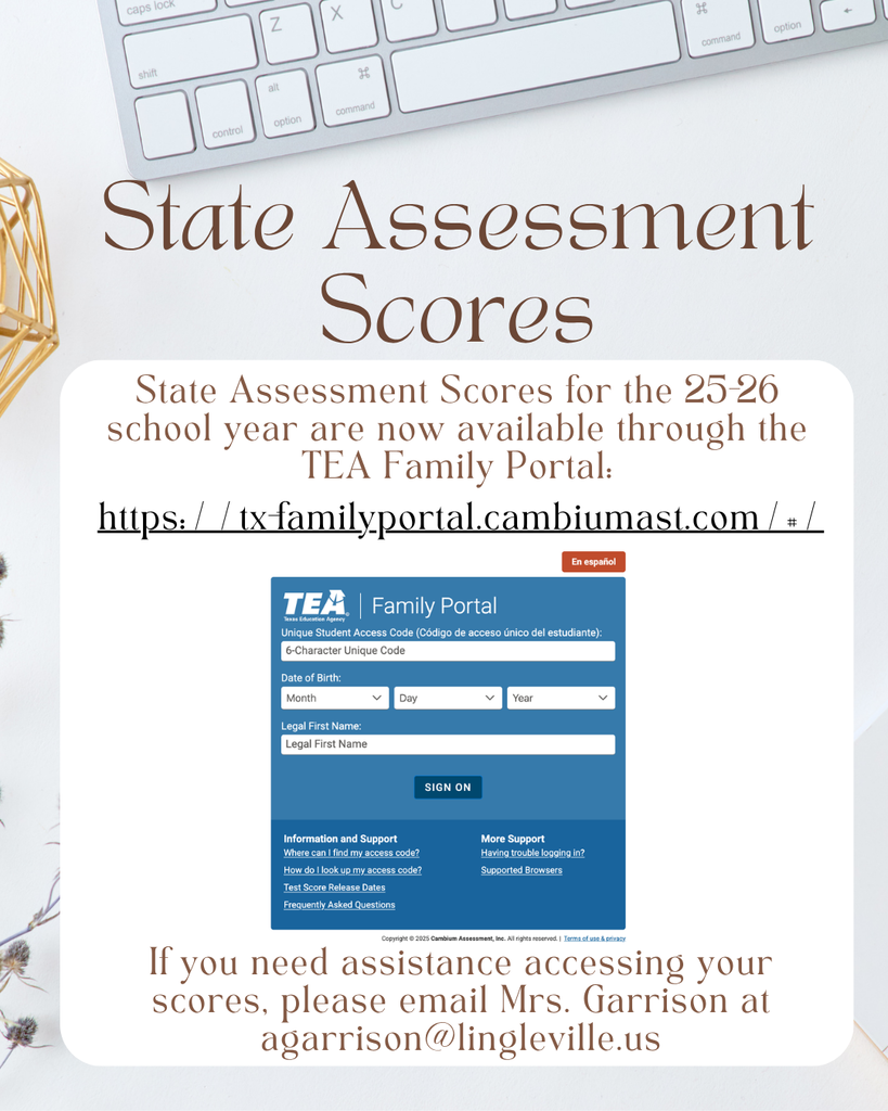 STAAR Scores
