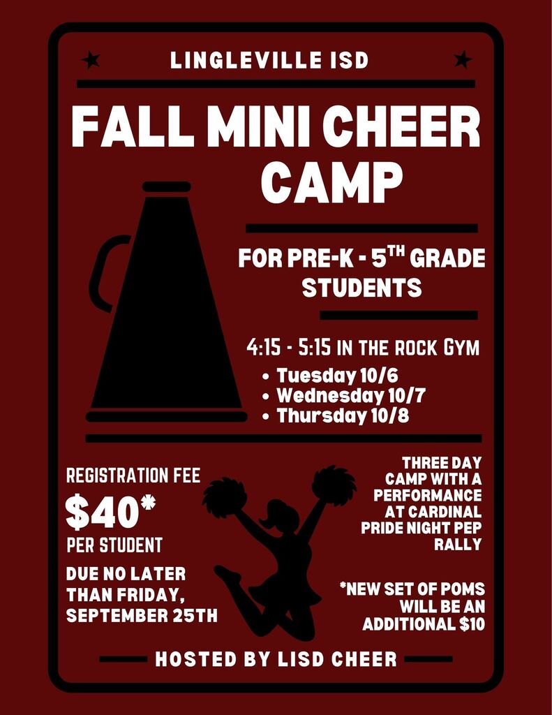 mini cheer camp
