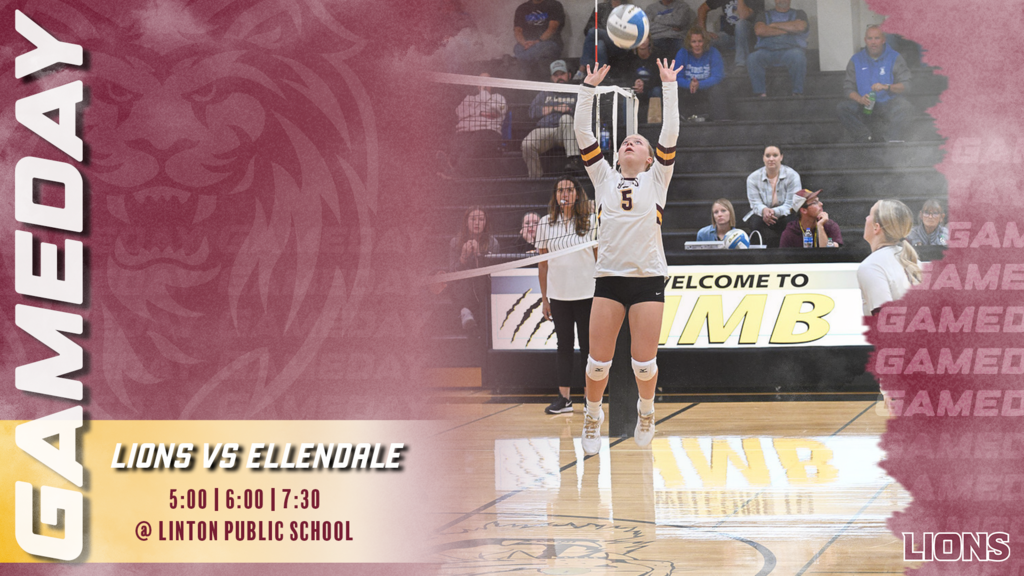 Volleyball Gameday