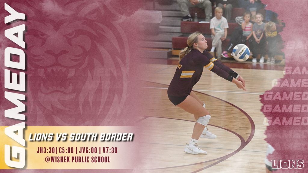 Volleyball Gameday