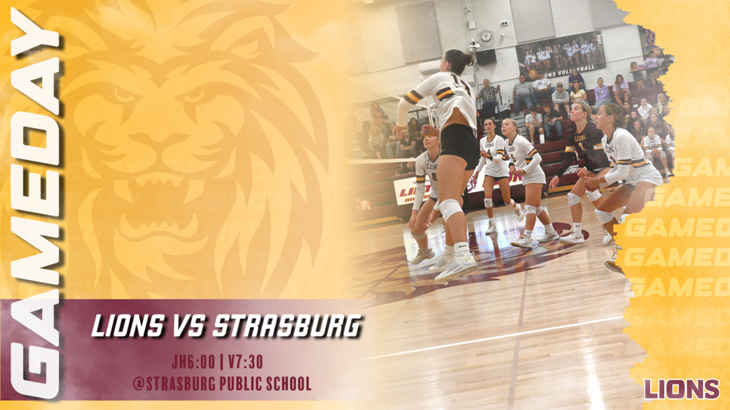Volleyball Gameday