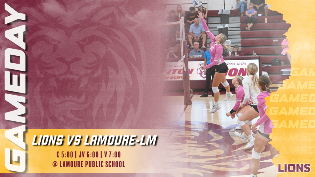 Volleyball Gameday