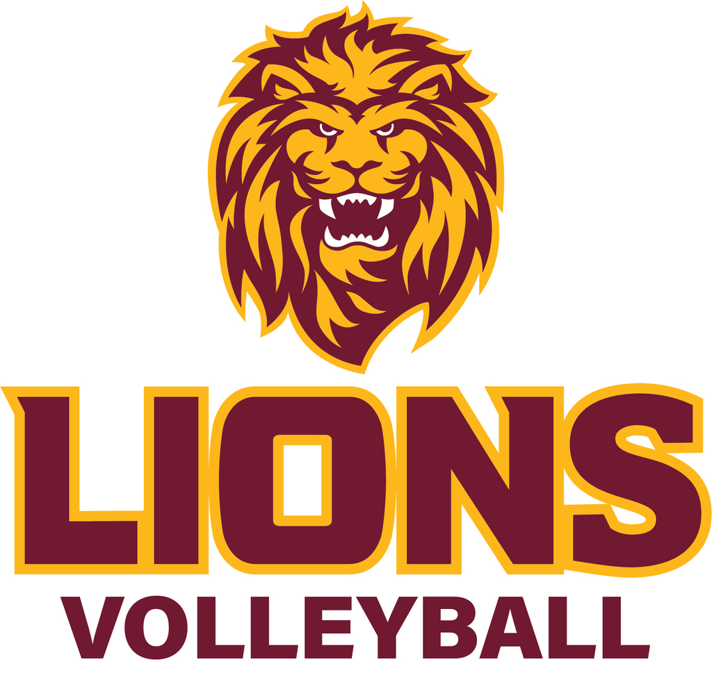 lions volleyball clothing order