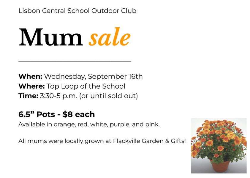 annual mum sale